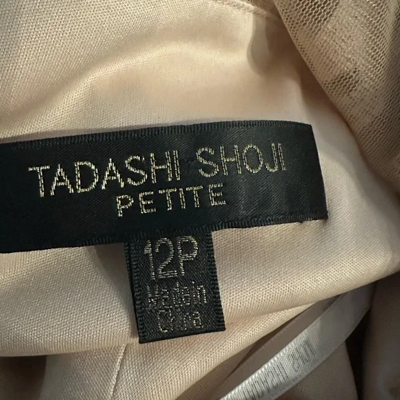 Tadashi Shoji Elegant Lace Dress in Cream petite size 12 - Picture 10 of 12